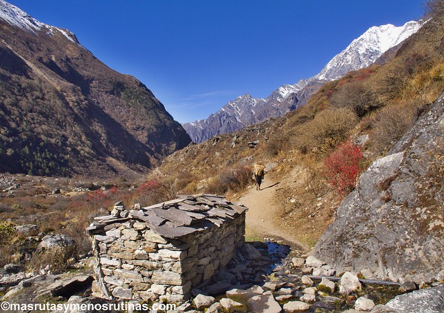 Por el cielo y el infierno de NEPAL. Trek Langtang - Blogs de Nepal - Trekking Langtang. Etapa 3: De Langtang a Kianjing Gompa (1)