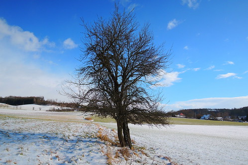 zima krajina winter landscape