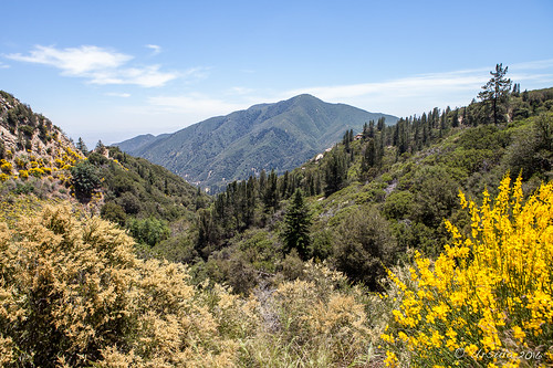 nature sanbernardino nationalforest california usa ca ca330