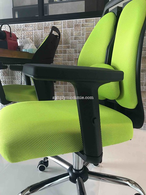 ErgoSpine Ergonomic Office Chair