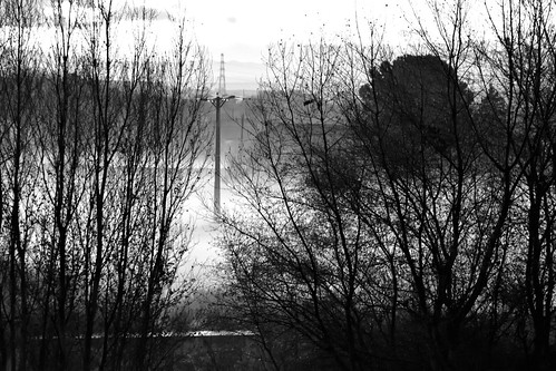 noiretblanc blancoynegro blackandwhite monochrome nikon nikonistas d5500 lleida boira fog niebla brouillard