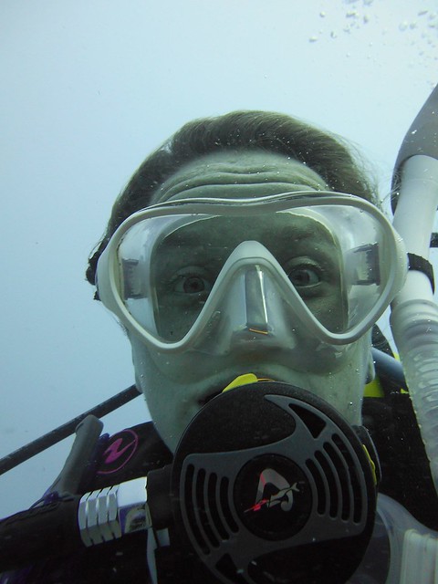 Holly Diving Selfie