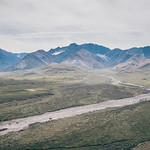 Alaska,Denali National Park