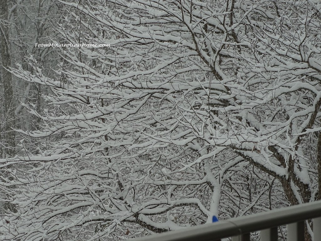 December Snow ~ From My Carolina Home