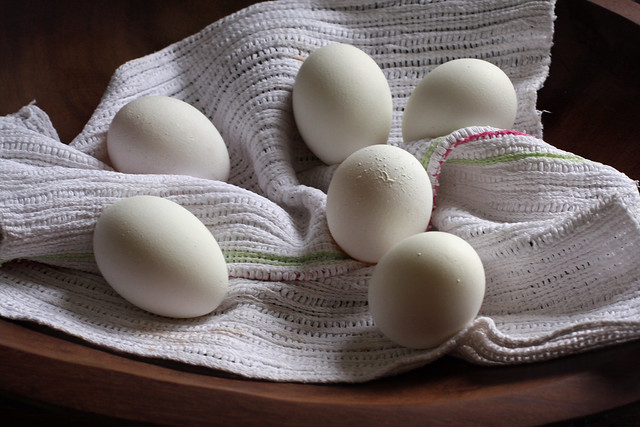 Huevos Rellenos (5)