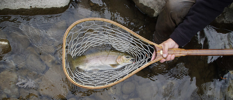 渓流釣りで使うランディングネットの選び方！おすすめ10選！！ | Fish 