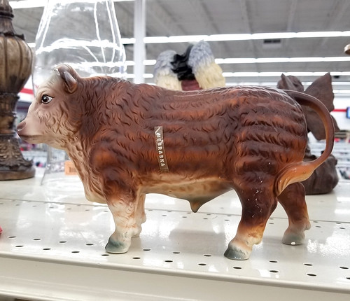 nebraska cow