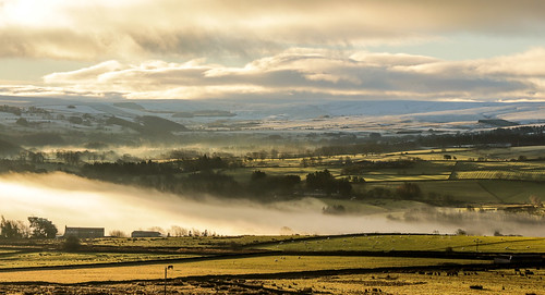countryside northumberland snow grass fog view allendale catton hill north sunrise early morning