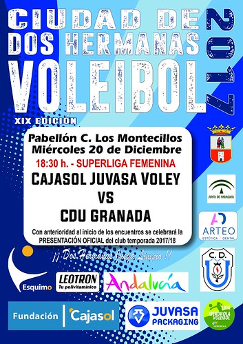 Cartel torneo de voleibol Ciudad de Dos Hermanas