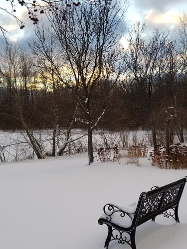dawn sunrise snow bench winter trees clouds morning s8 20171214080832 2