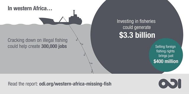 overfishing infographic