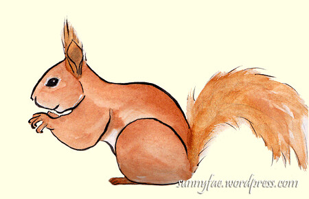 red squirrel sketch 1