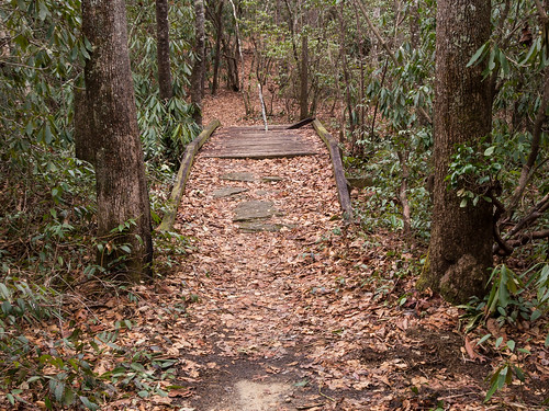 Cannon Creek Trail - 07