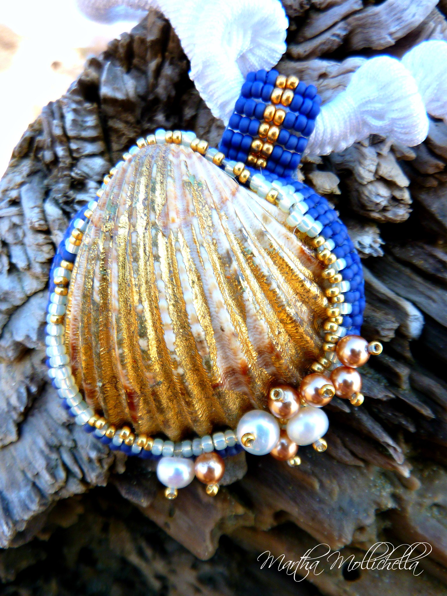 Achantocardia tubercolata detta cuore, gioielli conghiglia, seashells jewelry, i gioielli del mare