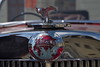 1947 Triumph 1800 Roadster _f