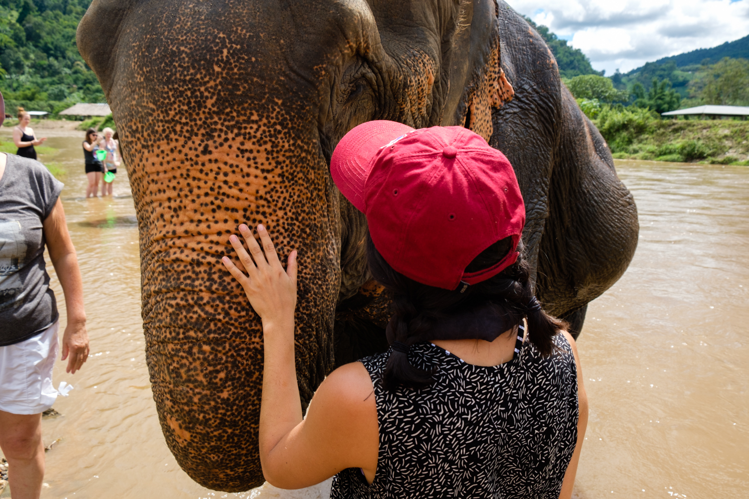 ChiangMai-Elephant-Sanctuary