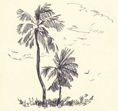 Sketchbook #111: Trip to Hawaii