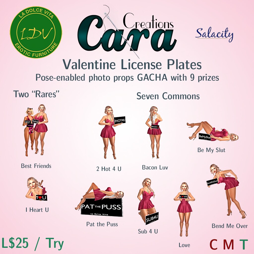 Valentine License Plate Gacha Pose Photo Prop