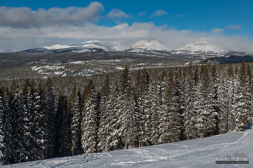 bighornmountains wyoming nikond750 meadowlark skiing february winter cold snowy snow sunny blue sky tamron2470mmf28 bighornnationalforest pinetrees clouds