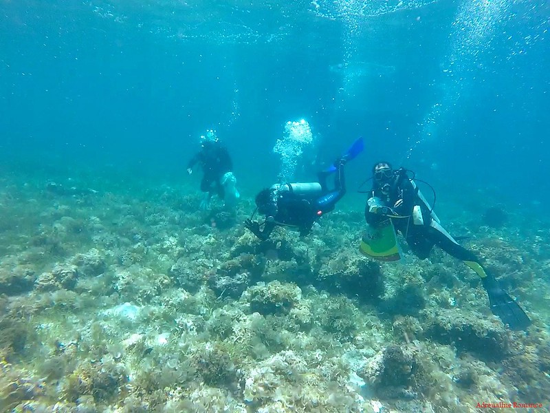 Reef cleanup