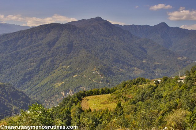 El valle de Phobjikha: las grullas cuellinegras son las dueñas - Por los monasterios y bosques de BUTAN (4)