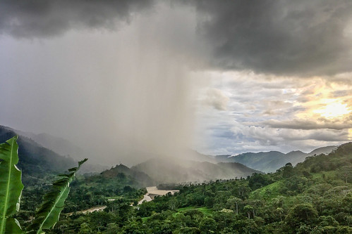 ecuador permatree landscape tropical rain valley valledelasluciérnagas