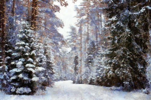 digital kalevvask postprocessed photoshop photomanipulation digiart photoart painterly artistic creative estonia winter manipulated ownphoto phototopainting trees snow 2018