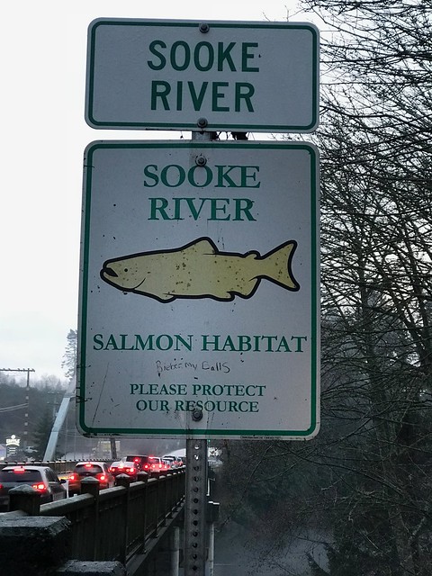 Sooke - river sign