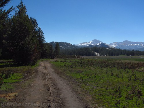 Trail along the western side of Tuolumne Meadows near Pothole Dome in Yosemite National Park, California