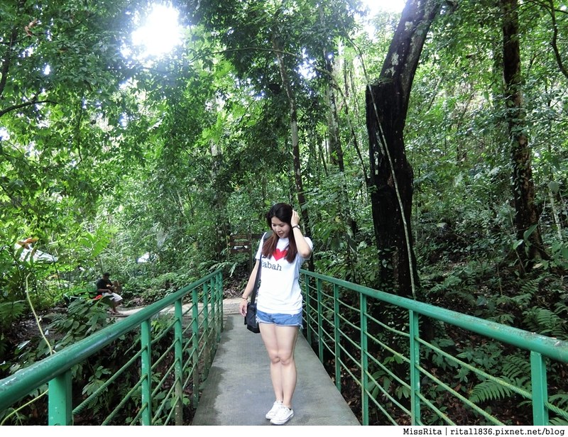馬來西亞自由行 馬來西亞 沙巴 沙巴自由行 沙巴神山 神山公園 KinabaluPark Nabalu PORINGHOTSPRINGS 亞庇 波令溫泉 klook 客路 客路沙巴 客路自由行 客路沙巴行程2