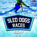 SLED DOG races  Klíny