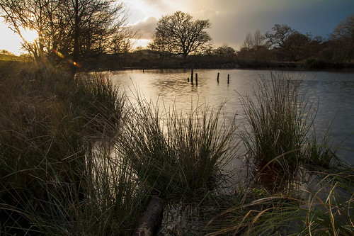 shobrookepark crediton sunflare sunset lake pond fishing poles reed reeds trees rays flare canon eos50d tamron 1750mm calm quiet tranquil winter evening middevon devon sleet clouds outdoors nature walk water reflections longexposure park