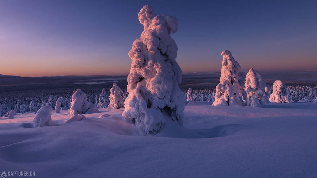 Morning glow - Lapland