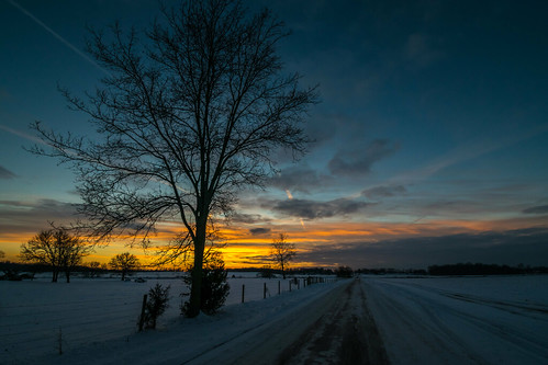 indiana nikon nikond5300 clouds cold evening fence geotagged road sky snow sunset tree trees winter middlebury unitedstates
