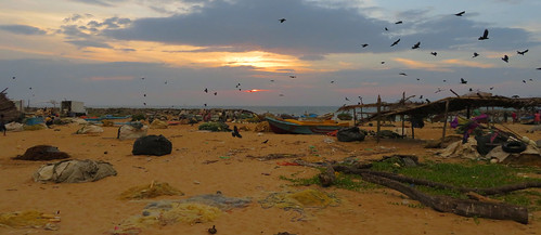 srilanka sunset negombo sea beach boats laccadivesea