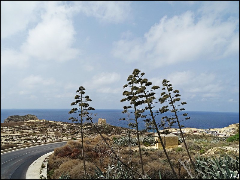 5º Día: Gozo (Dwejra Bay - Inland Sea - Ta Pinu - Xlendi - Marsalforn - Ramla - 7 días en Malta - Verano 2017 (5)