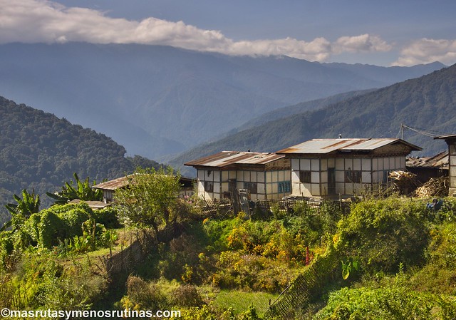 Por los monasterios y bosques de BUTAN - Blogs de Bhutan - El valle de Phobjikha: las grullas cuellinegras son las dueñas (3)