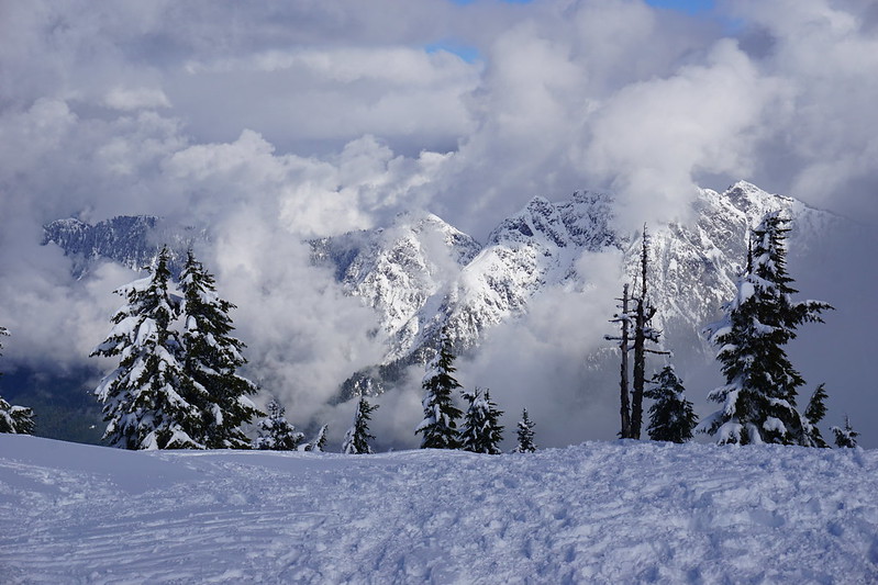 Snowshoeing in Cypress Mountain