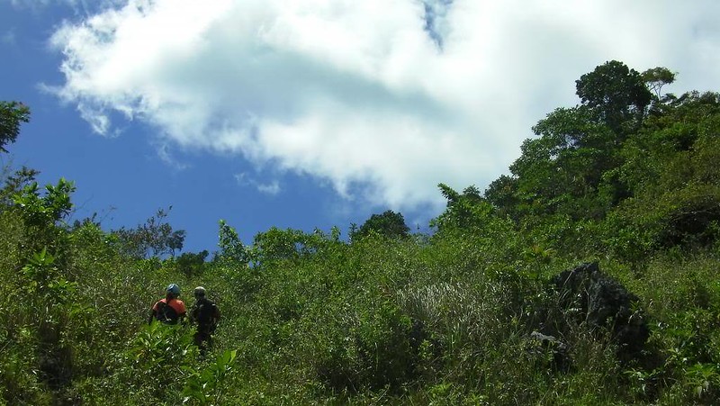 trail to Mt. Kapayas