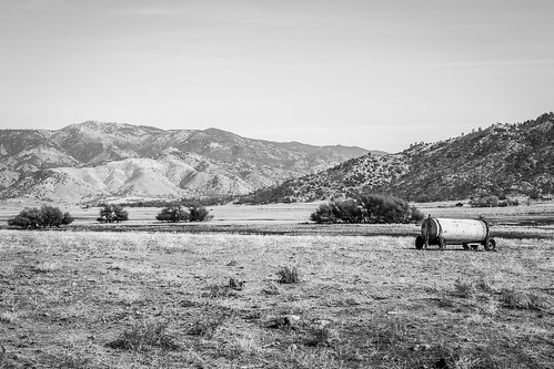 solemn california d850 forgotten landscape monochrome tree farm blackwhite creepy hills abandoned quiet mountain unitedstates us