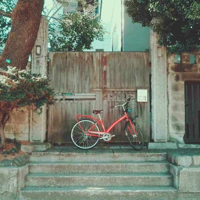 Old gate and bike