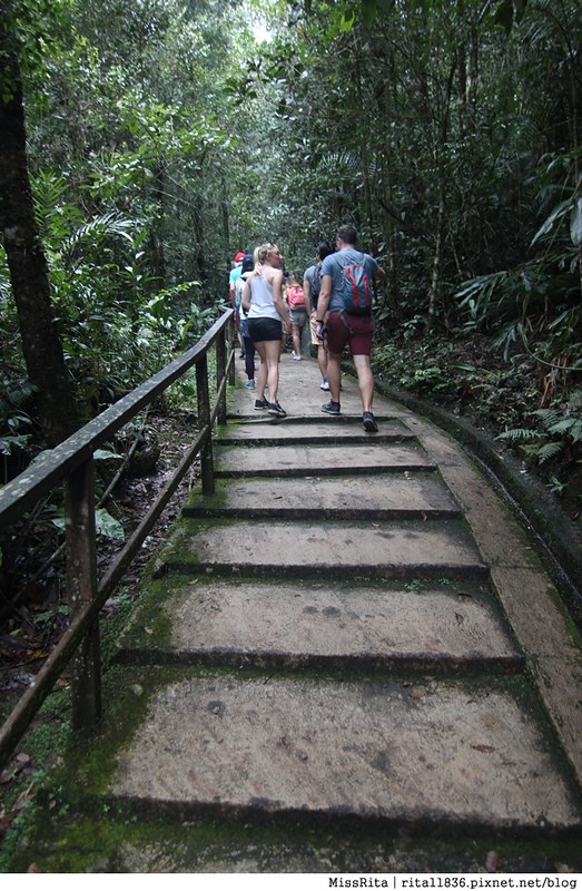 馬來西亞自由行 馬來西亞 沙巴 沙巴自由行 沙巴神山 神山公園 KinabaluPark Nabalu PORINGHOTSPRINGS 亞庇 波令溫泉 klook 客路 客路沙巴 客路自由行 客路沙巴行程14