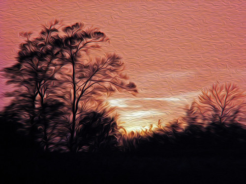 somerset loisfarm sunset trees oil oilfilter filters 1001nights 1001nightsmagiccity 1001nightsmagicwindow