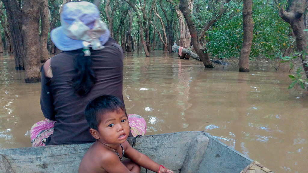 Camboya: Siem Riep, Nom Pen, Sihanoukville - Blogs de Camboya - Día 2. Siem Riep (2015.11.26) (12)