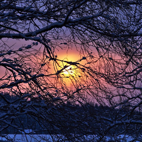 stefanorugolo pentax k5 pentaxk5 smcpentaxm100mmf28 sunset colors branches tree landscape sky snow hälsingland sweden sverige silhouettes clouds crop vintagelens primelens