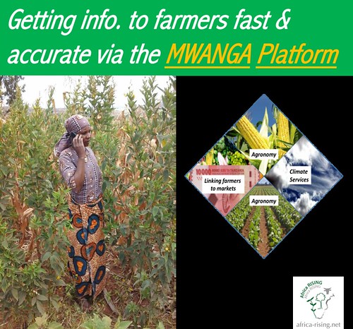The MWANGA Platform: A tool for rapid transformation of smallholder agriculture.