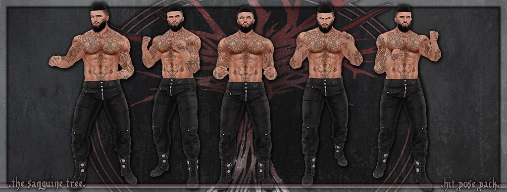 [ new release – hit pose pack ]