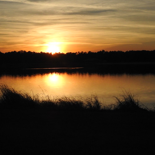 reedbinghamstatepark sunset