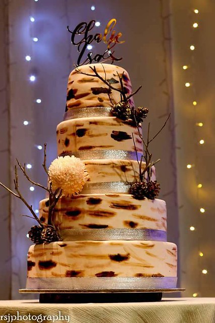 Rustic Wedding Cake by Rachel Yap