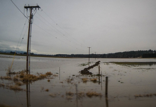 Skagit Farmland Flooding-2